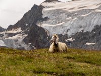 70 : club vosgien, ötztal