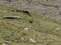 73 : club vosgien, ötztal