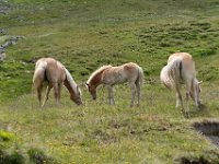 78 : club vosgien, ötztal