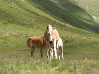 79 : club vosgien, ötztal
