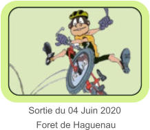 Sortie du 04 Juin 2020      Foret de Haguenau