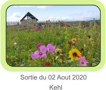 Sortie du 02 Aout 2020                   Kehl