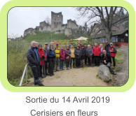 Sortie du 14 Avril 2019     Cerisiers en fleurs