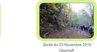 Sortie du 03 Novembre 2019                                         Oberhoff