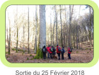 Sortie du 25 Février 2018