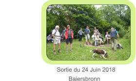 Sortie du 24 Juin 2018                                           Baiersbronn