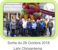 Sortie du 28 Octobre 2018         Lahr Chrisantema