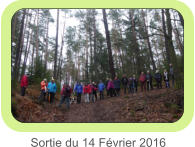 Sortie du 14 Février 2016