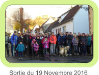 Sortie du 19 Novembre 2016