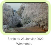 Sortie du 23 Janvier 2022           Wimmenau