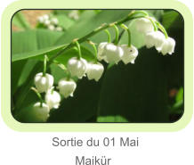 Sortie du 01 Mai         Maikür