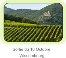 Sortie du 16 Octobre        Wissembourg