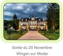 Sortie du 20 Novembre     Wingen sur Moder