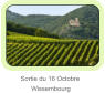 Sortie du 16 Octobre        Wissembourg