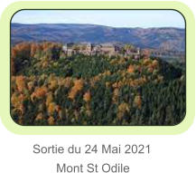 Sortie du 24 Mai 2021        Mont St Odile