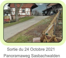 Sortie du 24 Octobre 2021 Panoramaweg Sasbachwalden