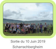 Sortie du 10 Juin 2019     Scharrachbergheim