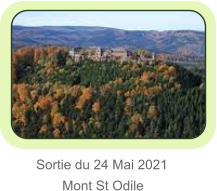 Sortie du 24 Mai 2021        Mont St Odile
